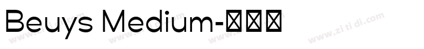 Beuys Medium字体转换